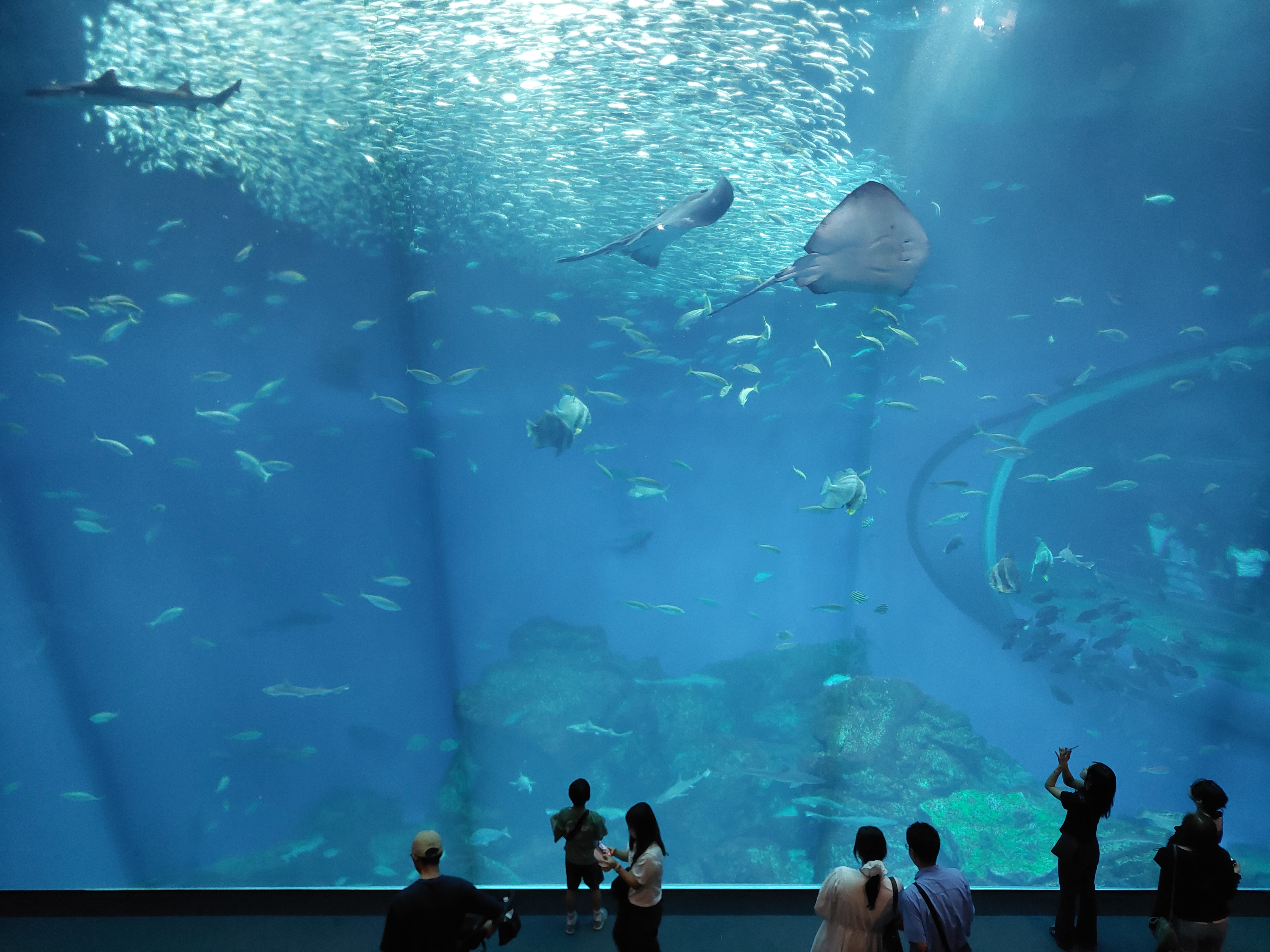 海と出会う、笑顔の一日。茨城日帰りツアー（6月21日）
